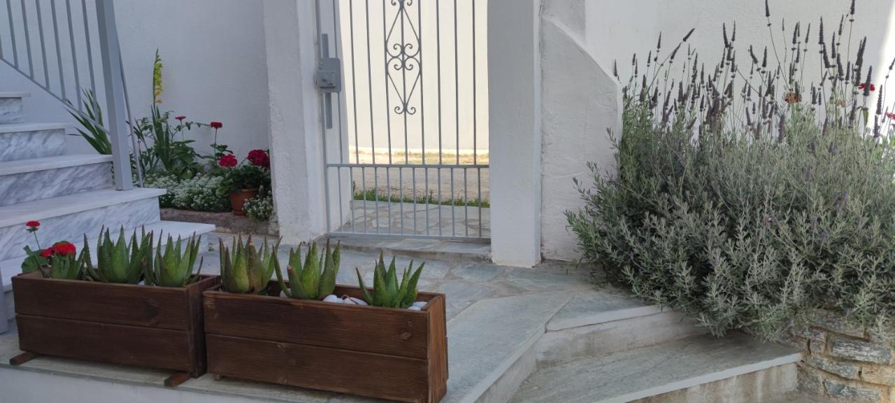 Meraki * Skopelos Town