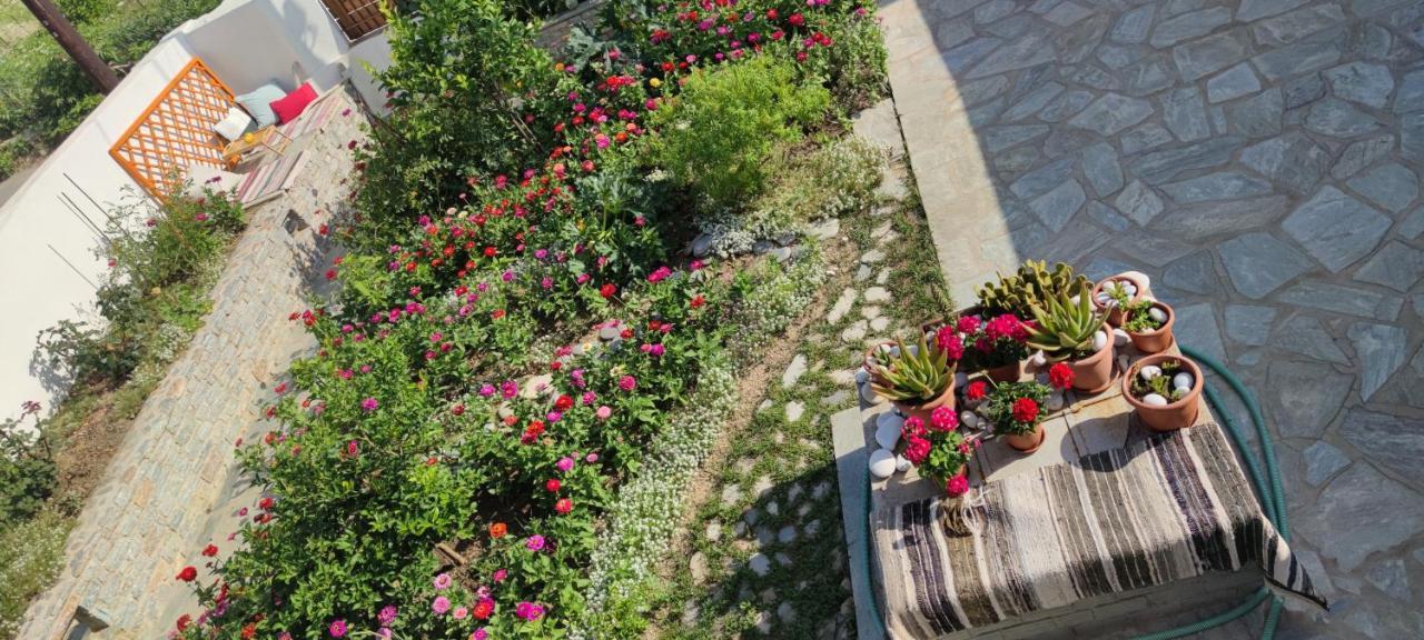 Hébergement de vacances Meraki *
