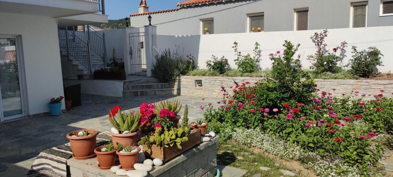 Meraki * Skopelos Town